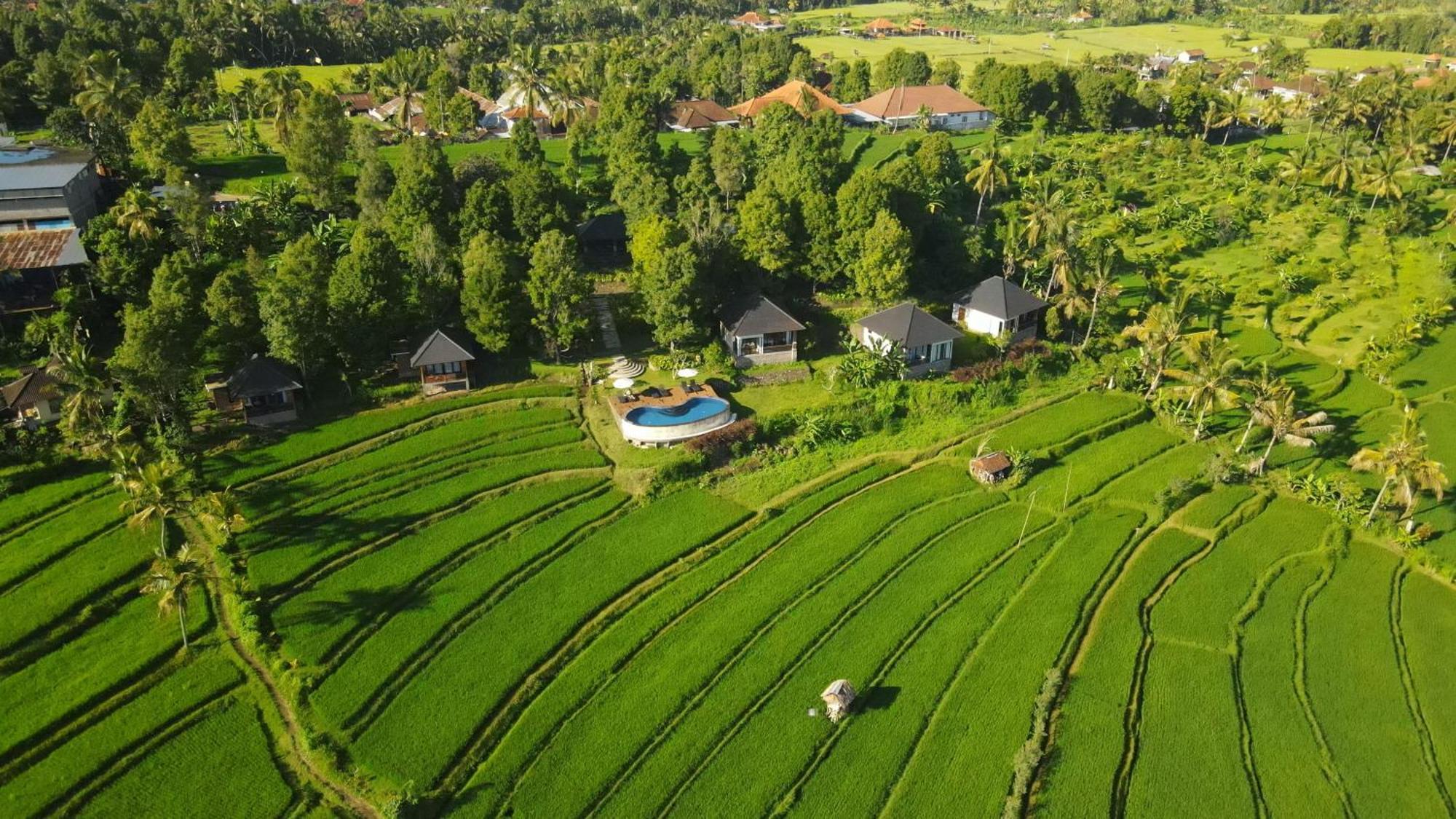 Munduk Mayura Bali Villa מראה חיצוני תמונה
