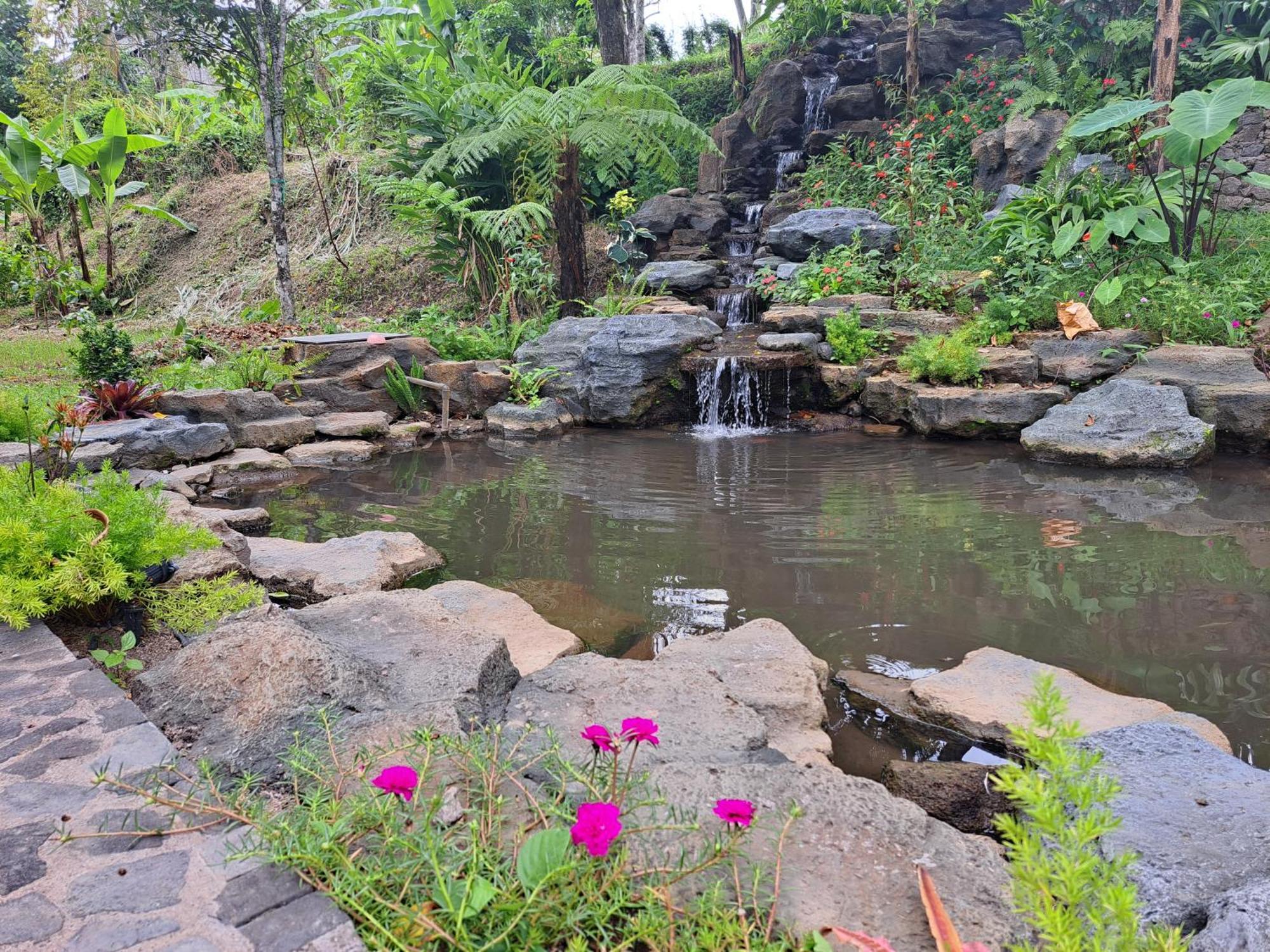Munduk Mayura Bali Villa מראה חיצוני תמונה
